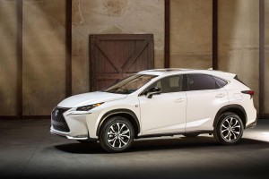 Lexus NX crossover blossoms at Hampton Court Palace Flower Show - Douglas Stafford Mystery Shopping